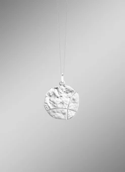 Glänzend/mattiert: toller Anhängern