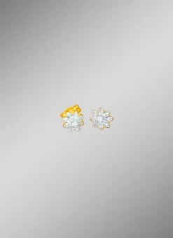 Ohrstecker mit Brillanten und Diamanten